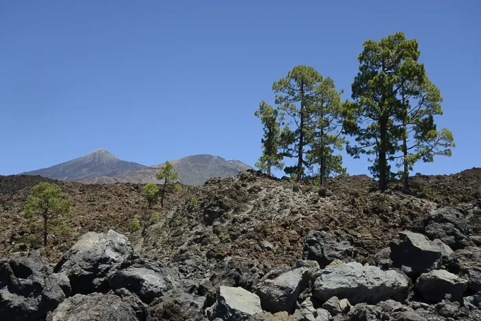 Framed Print : Pico del Teide, Tenerife, Teide Framed Print : Pico del Teide, Tenerife, Teide