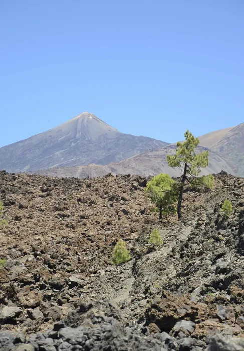 Framed Print : Pico del Teide, Tenerife, Teide Framed Print : Pico del Teide, Tenerife, Teide