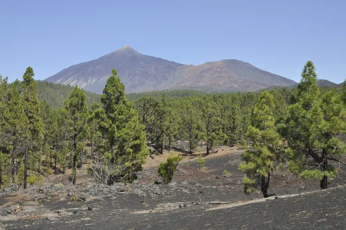 Framed Print : Pico del Teide, Tenerife, Teide Framed Print : Pico del Teide, Tenerife, Teide