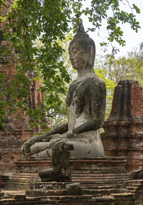 Framed Print : A picture of a Buddha statue at the Wat Mahathat Temple Framed Print : A picture of a Buddha statue at the Wat Mahathat Temple