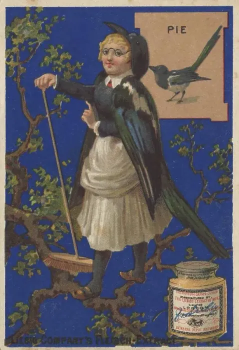 Framed Print : Picture series Birds 1, magpie and a woman standing in a tree with a broom Framed Print : Picture series Birds 1, magpie and a woman standing in a tree with a broom