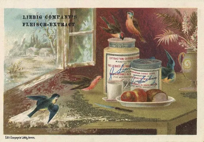 Framed Print : Picture series Birds in Situations