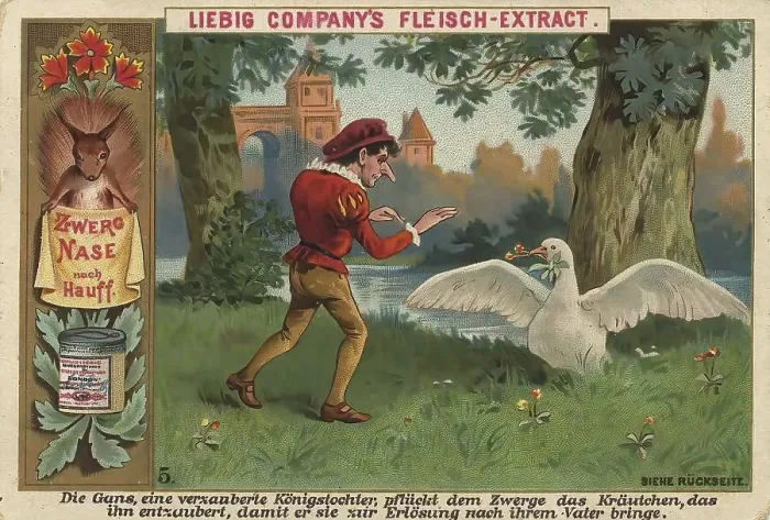 Framed Print : Picture series Dwarf Nose, 5, The goose Framed Print : Picture series Dwarf Nose, 5, The goose
