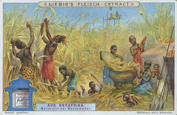 Framed Print : Picture series from East Africa