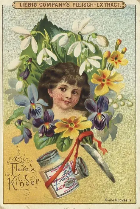 Framed Print : Picture series Flora's children Framed Print : Picture series Flora's children