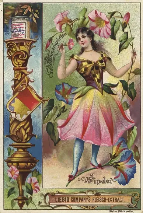 Framed Print : Picture series Flower spirits, Woman with bindweed Framed Print : Picture series Flower spirits, Woman with bindweed