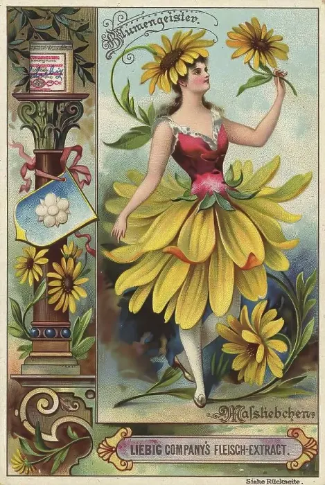 Framed Print : Picture series Flower spirits, Woman with a daisy