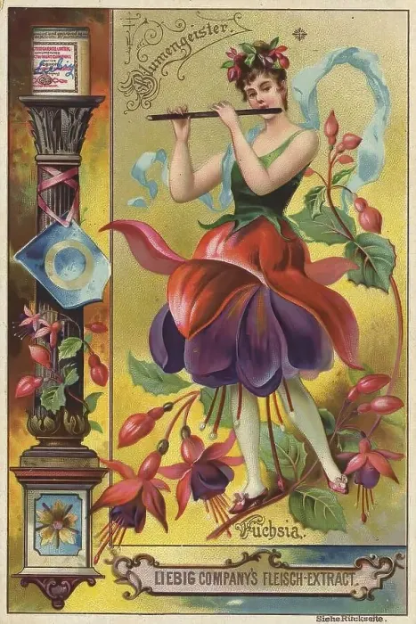 Framed Print : Picture series Flower spirits, Woman with fuchsia