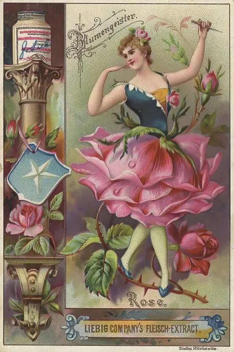 Framed Print : Picture series Flower Spirits, Woman with Rose