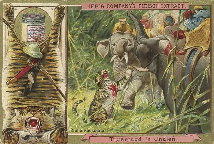 Framed Print : Picture series Hunting, Tiger hunt in India