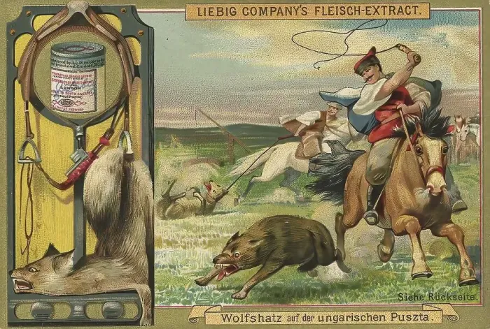 Framed Print : Picture series Hunting, wolf hunt
