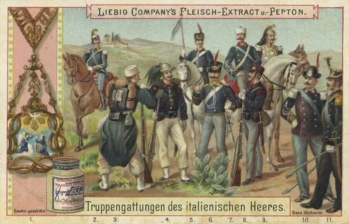 Framed Print : Picture series Military units, types of troops of the army of Italy