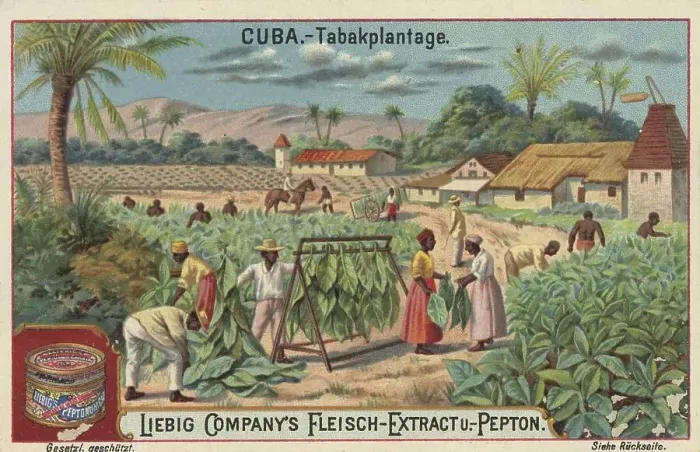 Framed Print : Picture series Scenes from Cuba Framed Print : Picture series Scenes from Cuba
