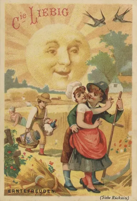 Framed Print : Picture series sun pictures, harvest joy on the grain field Framed Print : Picture series sun pictures, harvest joy on the grain field