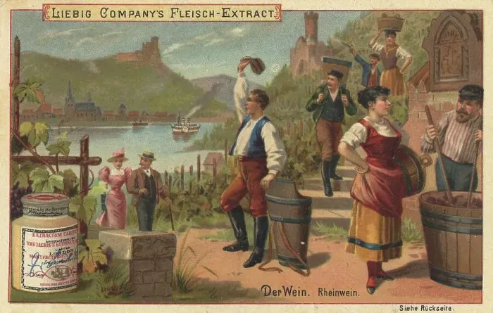 Framed Print : Picture series The wine, Rhine wine from Germany Framed Print : Picture series The wine, Rhine wine from Germany