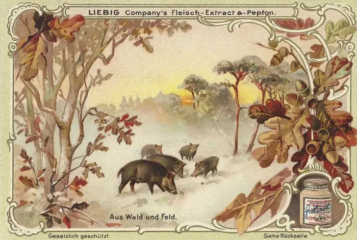 Framed Print : Picture series From the woods and fields Framed Print : Picture series From the woods and fields
