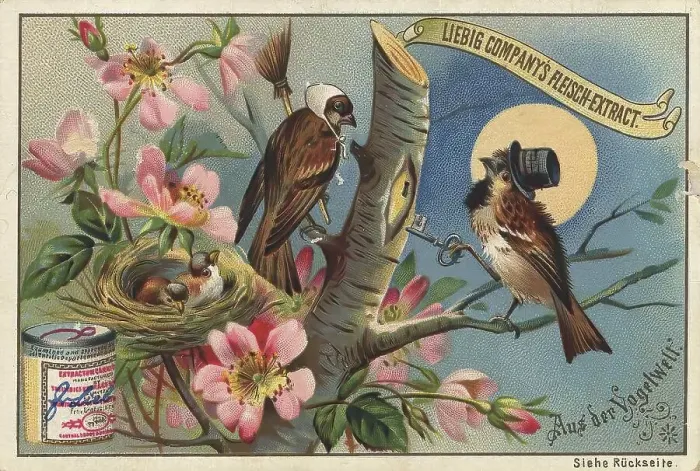 Framed Print : Picture series From the world of birds Framed Print : Picture series From the world of birds