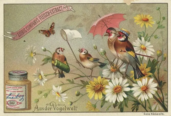 Framed Print : Picture series From the world of birds