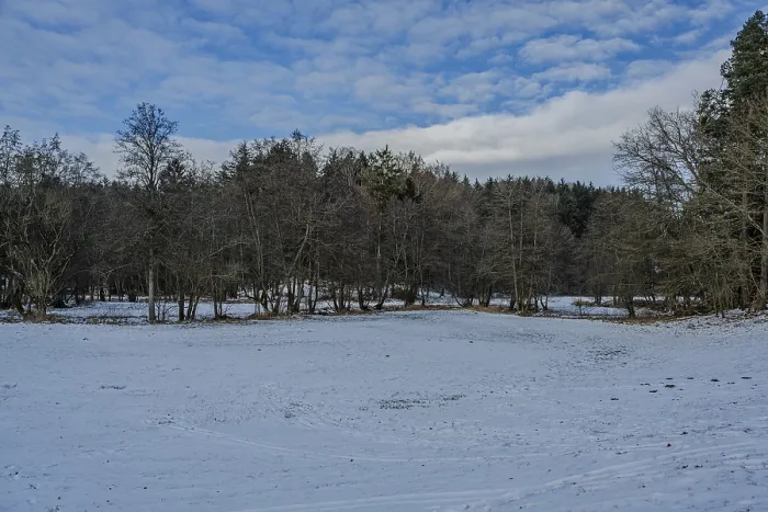 Framed Print : The picture shows a snow-covered area in the forest Framed Print : The picture shows a snow-covered area in the forest