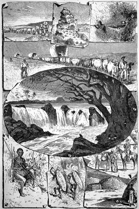 Framed Print : Picture tableau on the subject of Southern Africa from an encyclopaedia from 1880 Framed Print : Picture tableau on the subject of Southern Africa from an encyclopaedia from 1880