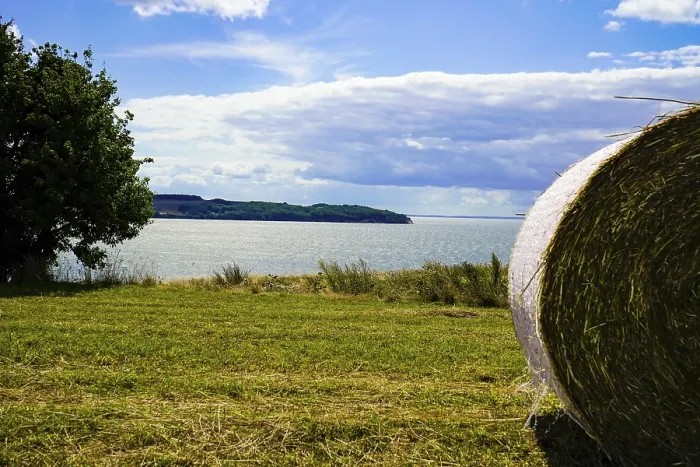 Framed Print : Picturesque coastal landscape with hay bales under a blue sky and clouds in the distance