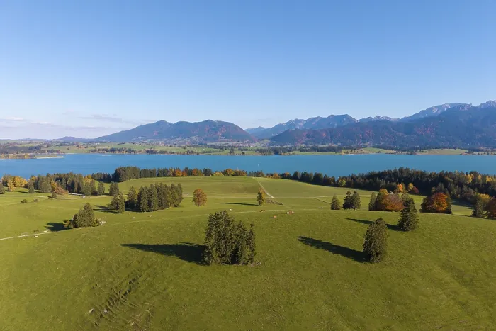 Framed Print : Picturesque landscape with Lake Forggensee and mountains Framed Print : Picturesque landscape with Lake Forggensee and mountains