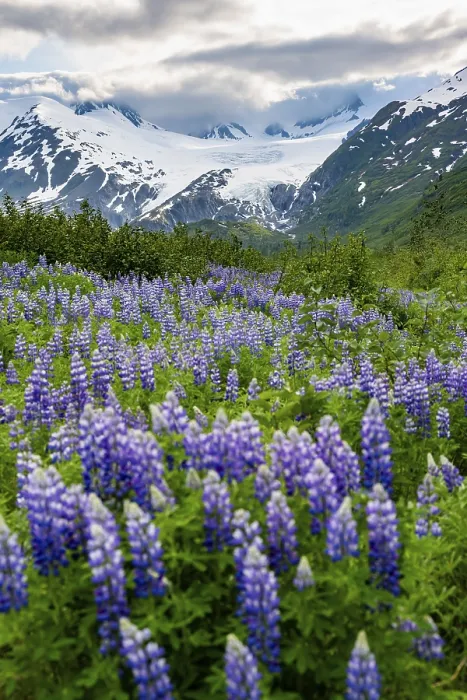 Framed Print : Picturesque landscape on the Richardson Highway Framed Print : Picturesque landscape on the Richardson Highway