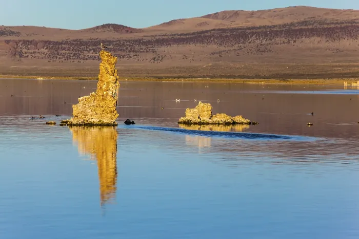 Framed Print : Picturesque Mono lake. Birds on the lake
