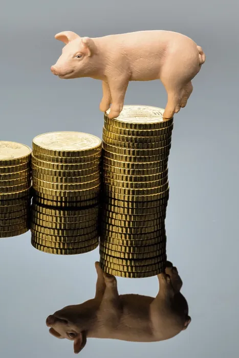 Framed Print : A pig stands on a pile of coins