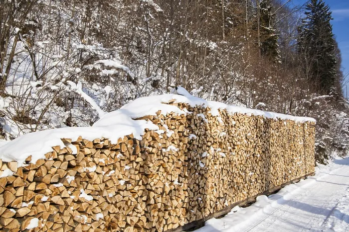 Framed Print : Pile of firewood. snowy firewoods in winter forest