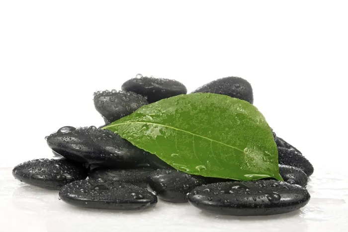 Framed Print : Pile of zen stones with a green leaf