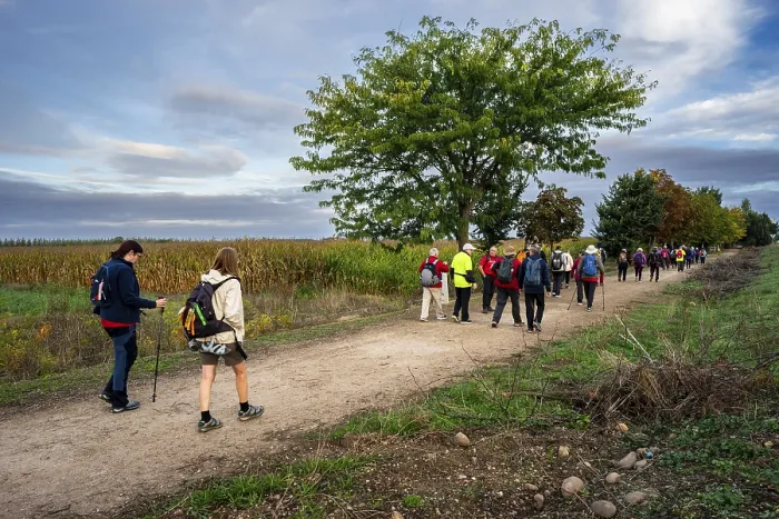 Framed Print : Pilgrims walking on the Camino de Santiago Framed Print : Pilgrims walking on the Camino de Santiago