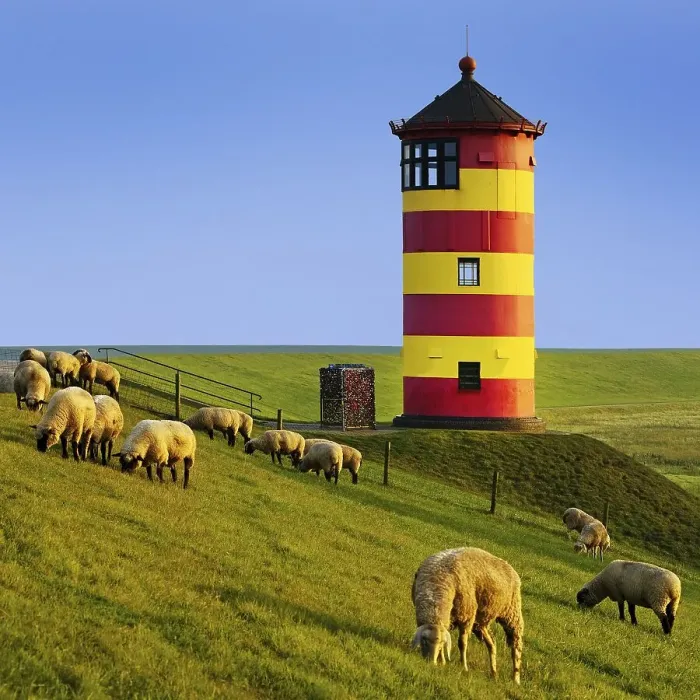 Framed Print : Pilsum lighthouse with sheep on the dike