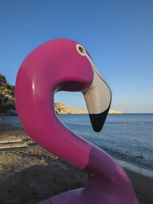Framed Print : Pink flamingo pedal boat on Tsambika sandy beach with sea in the background at sunset Framed Print : Pink flamingo pedal boat on Tsambika sandy beach with sea in the background at sunset