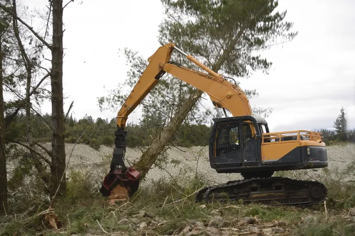 Framed Print : A Pinus radiata tree is felled by an autocutter at a milling site in exotic forest on the West Coast Framed Print : A Pinus radiata tree is felled by an autocutter at a milling site in exotic forest on the West Coast