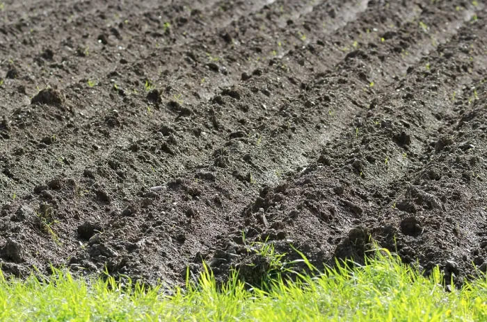 Framed Print : Plowed field on a bright summer day