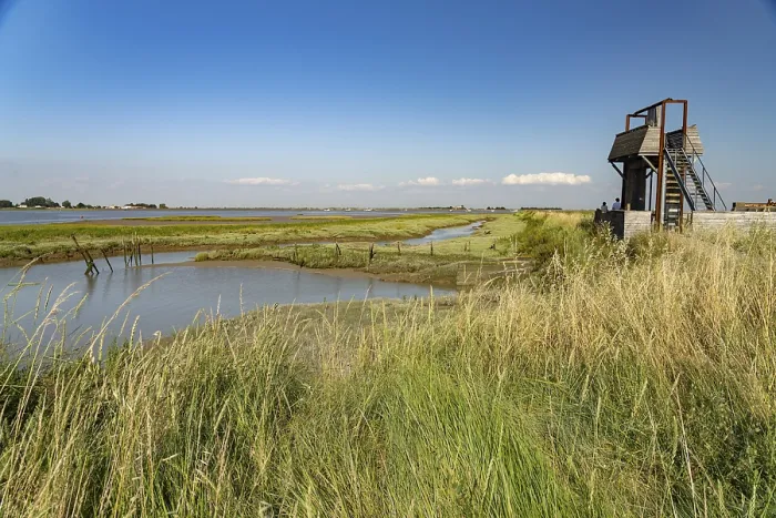 Framed Print : Pointe d'Arcay Nature Reserve in L'Aiguillon-la-Presqu'ile