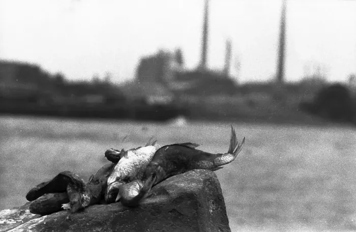 Framed Print : The poison accident on the Rhine