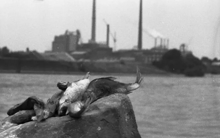 Framed Print : The poison accident on the Rhine