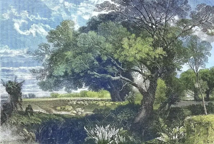 Framed Print : The Poitou countryside in western France