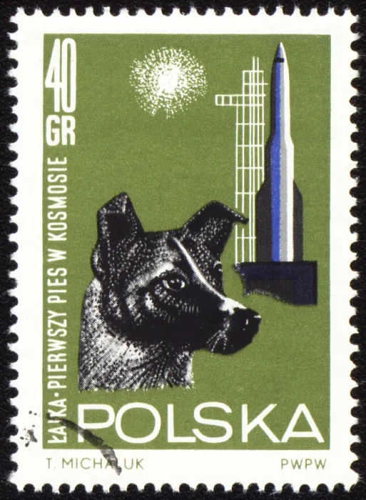 Framed Print : POLAND - CIRCA 1963: A stamp printed in Poland shows first dog Laika in space Framed Print : POLAND - CIRCA 1963: A stamp printed in Poland shows first dog Laika in space