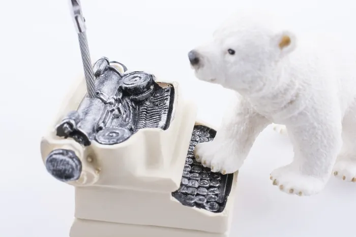 Framed Print : Polar bear cub on the roof of a model house mado of roof