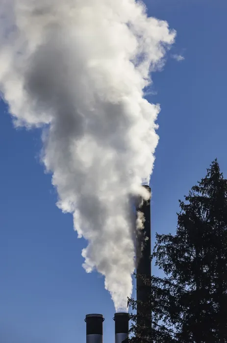Framed Print : Pollution, industry, smoke coming from a factory chimney near a coniferous forest Framed Print : Pollution, industry, smoke coming from a factory chimney near a coniferous forest