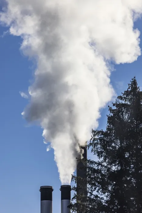 Framed Print : Pollution, industry, smoke coming from a factory chimney near a coniferous forest
