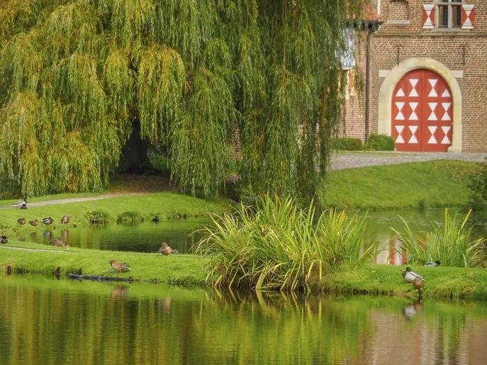 Framed Print : Pond with ducks, weeping willow and brick buildings