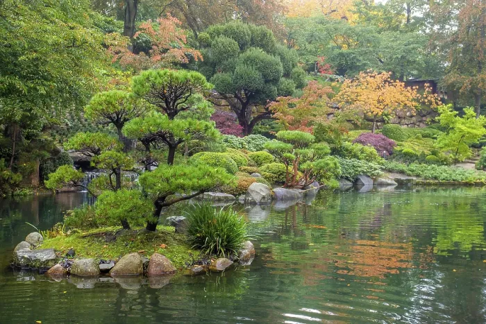 Framed Print : Pond in japanese garden of Kaiserslautern Framed Print : Pond in japanese garden of Kaiserslautern