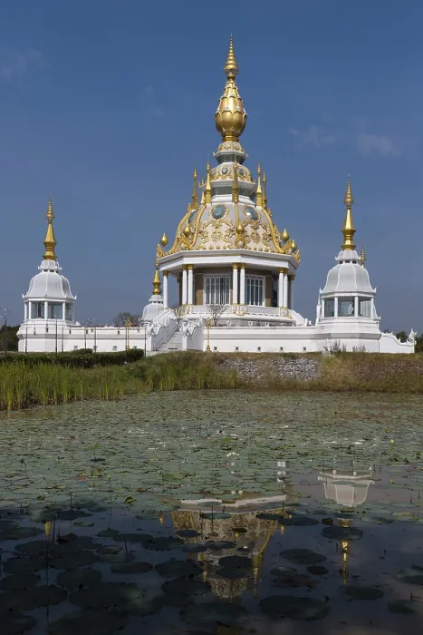 Framed Print : Pond with Lotus (Nelumbo) in front of Maha Rattana Chedi of Wat Thung Setthi