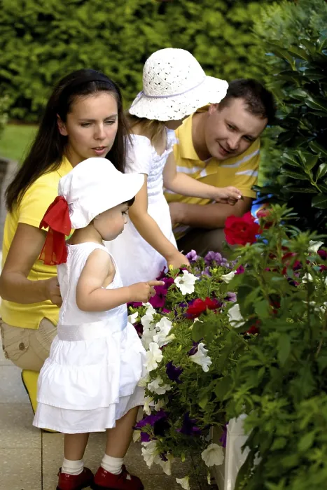 Framed Print : A portrait of a happy family of four persons in the summer garden