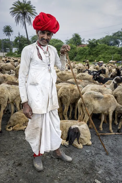 Framed Print : Portrait of a herder from the Rabari community