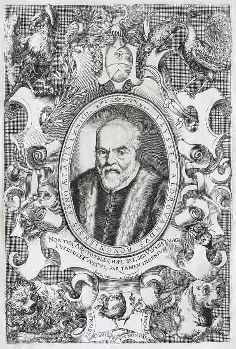 Framed Print : Portrait of Ulysses Aldrovandi (1522-1603)